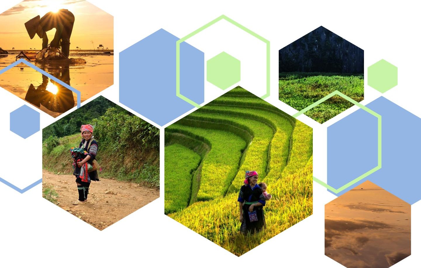 cover_br_project_indigenous_peoples_planning_framework