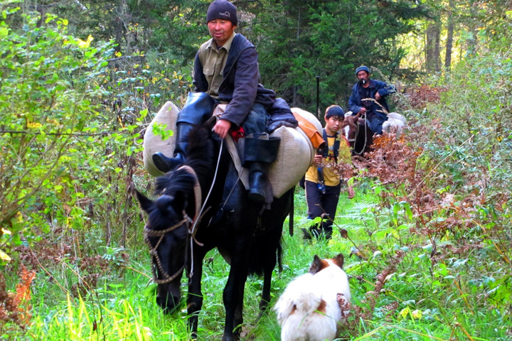 qGEcPPSZQqSUo55GSomhwBW