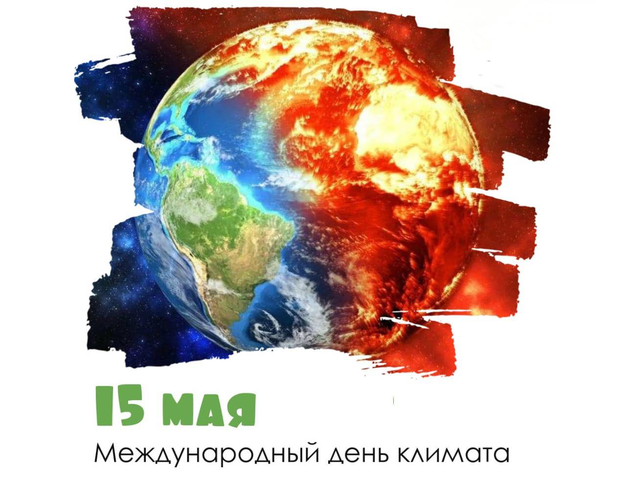 signal-2026-05-15-113003_002